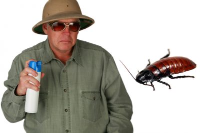 Photo d'un exterminateur non certifié, Montréal,Exterminateurs Associés