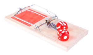 comment choisir un exterminateur à Montréal, Exterminateurs Associés, photo