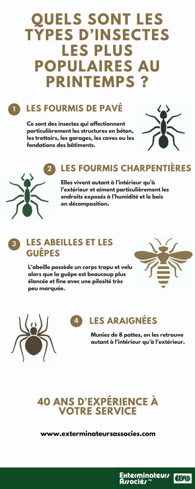 Infographic - What Are The Most Popular Types Of Insects In Spring, Associated Exterminators