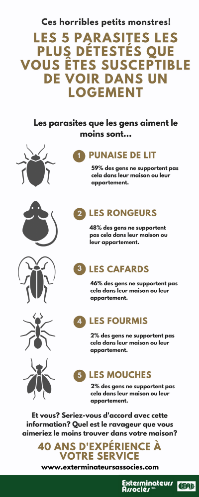 Most hated pests in your home, Associated Exterminators, infographic