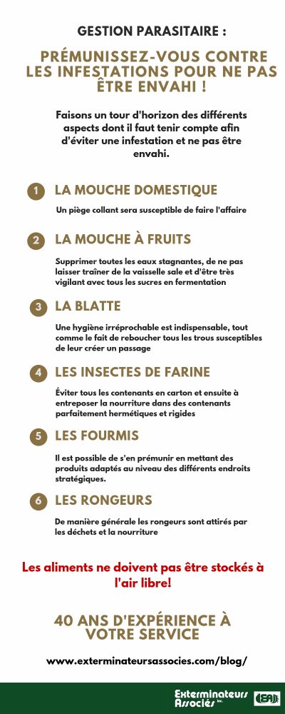 Infographie, gestion parasitaire, évitez une infestation, Extrminateurs Associés