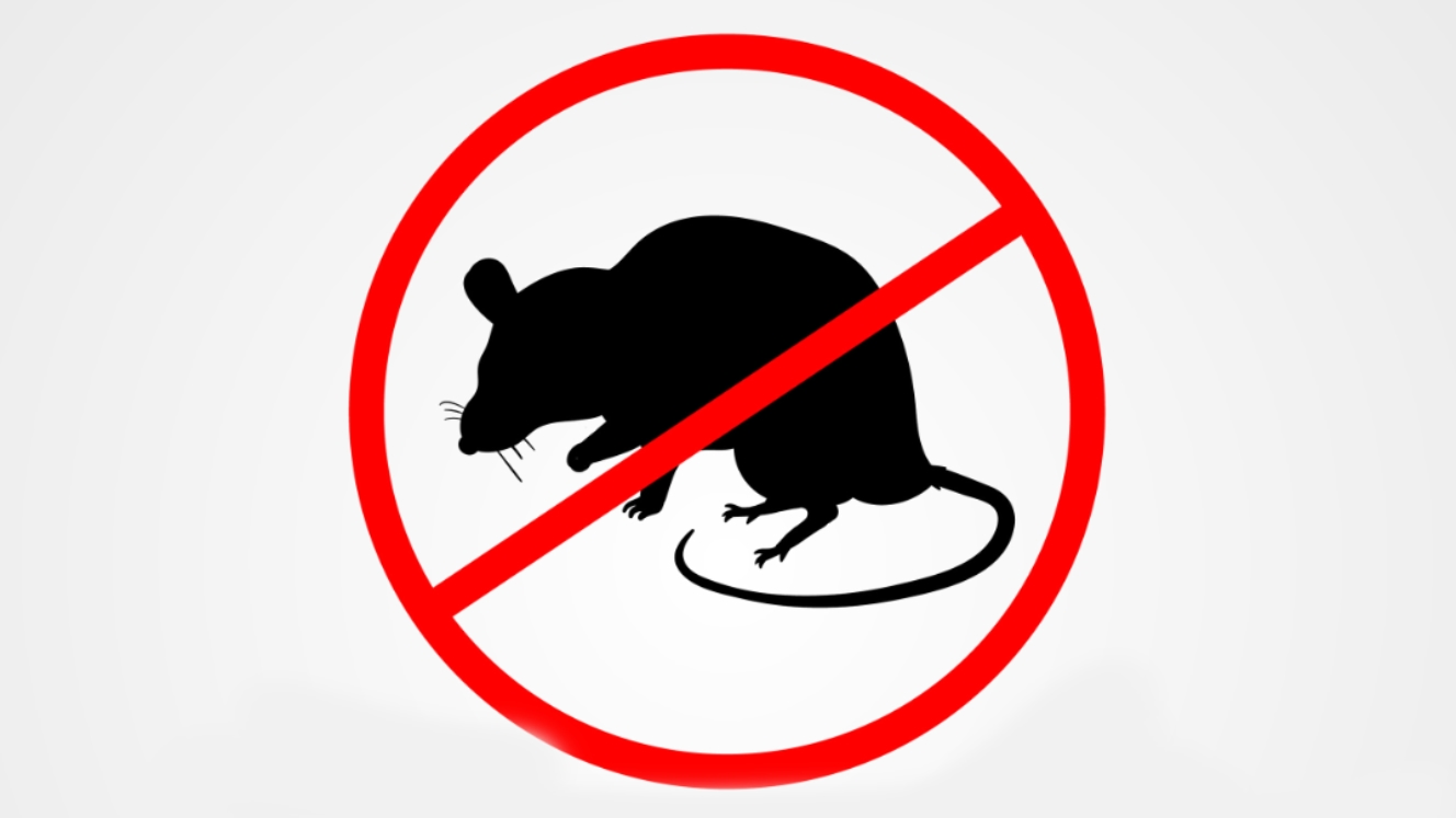 service d'extermination residentiel, commerciale, industrielle, Exterminateurs Associés