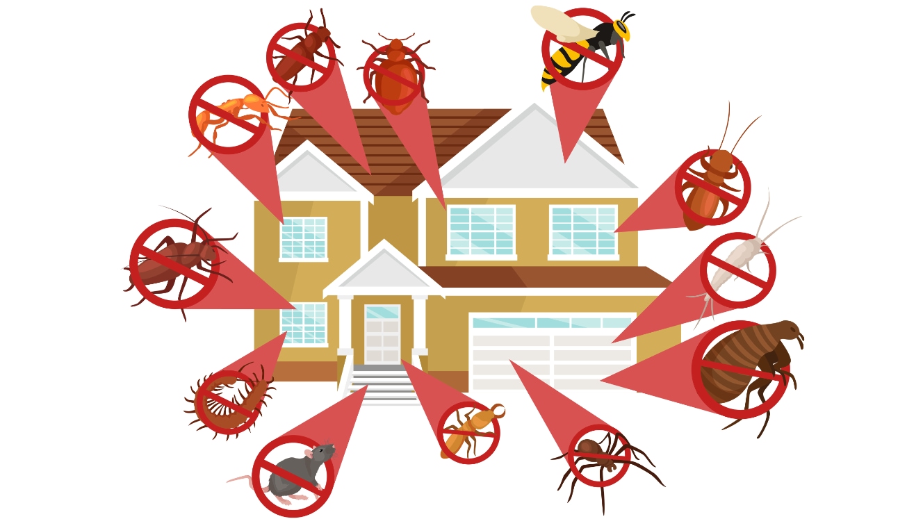 services de gestion parasitaire Montréal