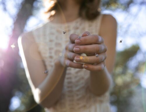 Les parasites les plus communs de l&rsquo;été 2025 à Montréal