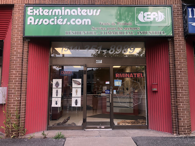 exterminateurs-associes-inc-6577-rue-beaubien-e-montreal-qc-H1M-1B1-contact