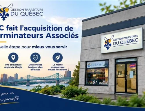 Exterminateurs Associés: A New Chapter with GPQC